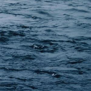 被蟒蛇玩弄尿喷H肉倒刺动漫男男
